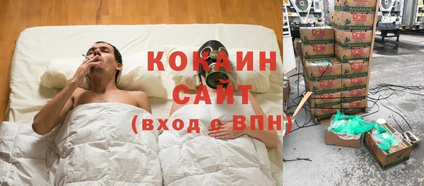 a pvp Бородино