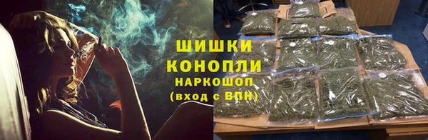 a pvp Бородино