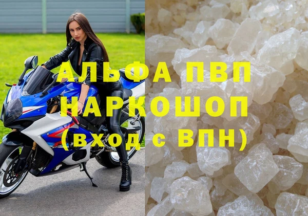 a pvp Бородино