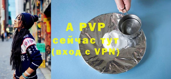 a pvp Бородино